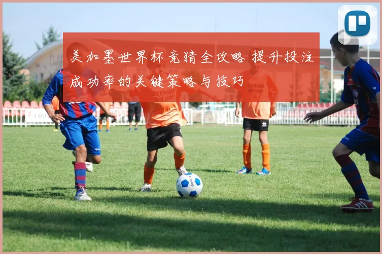 美加墨世界杯竞猜全攻略 提升投注成功率的关键策略与技巧