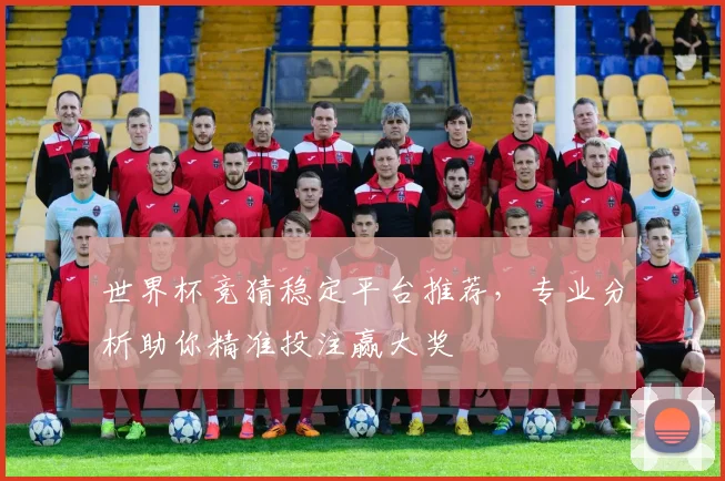 世界杯竞猜稳定平台推荐，专业分析助你精准投注赢大奖